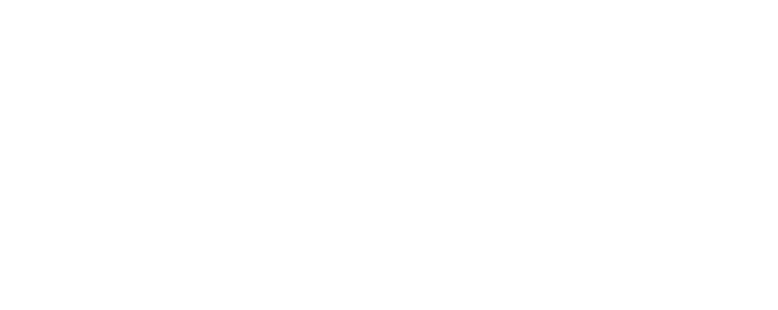 DIG enlarged logo